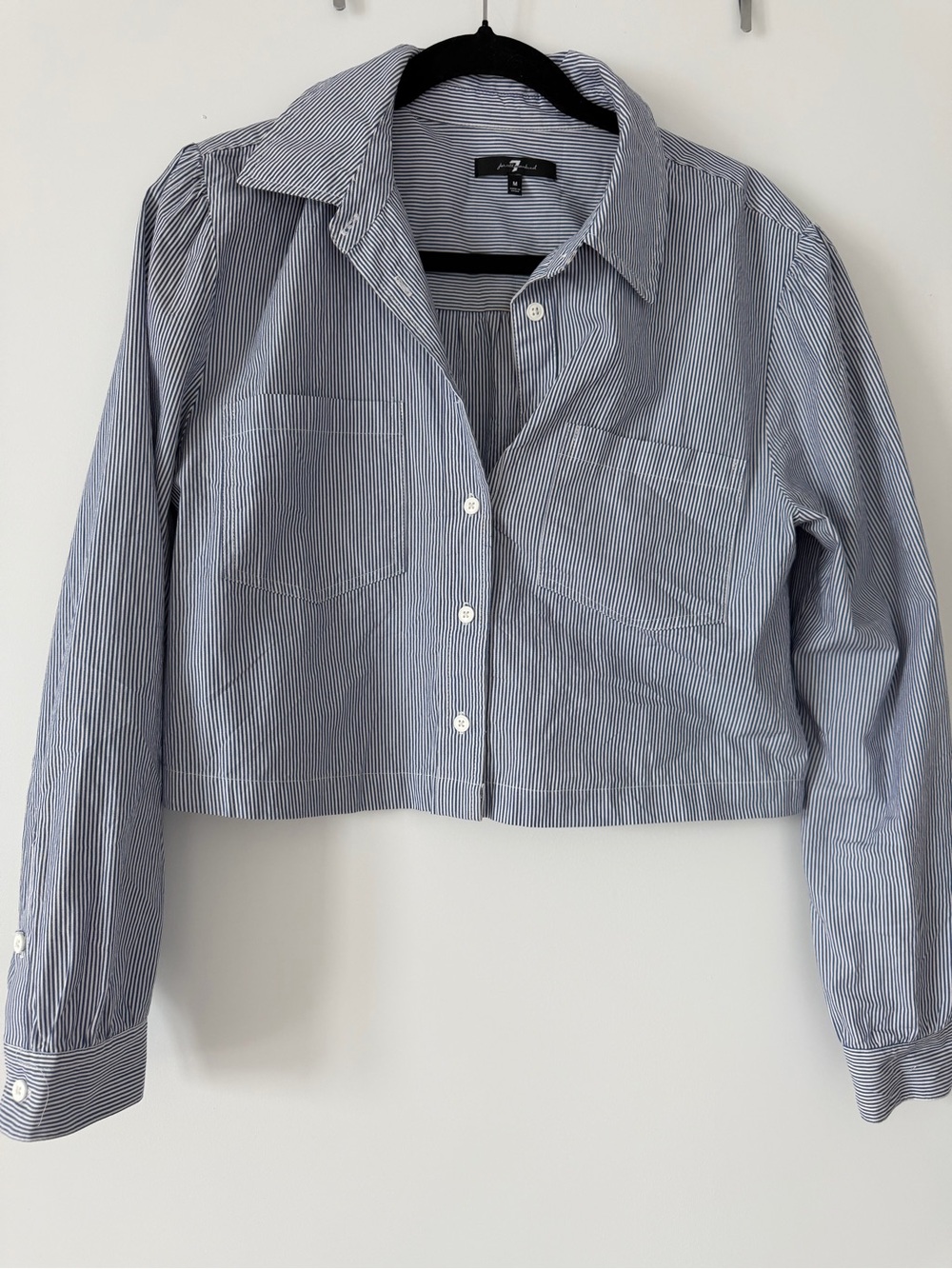 7 For All Mankind Blue and White Striped Cropped Button-Down Shirt